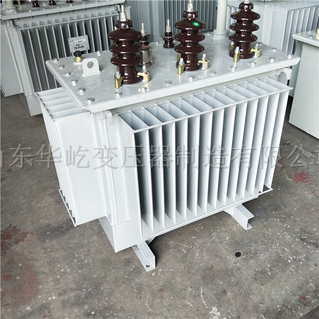 温州S20-1000KVA油浸式电力变压器